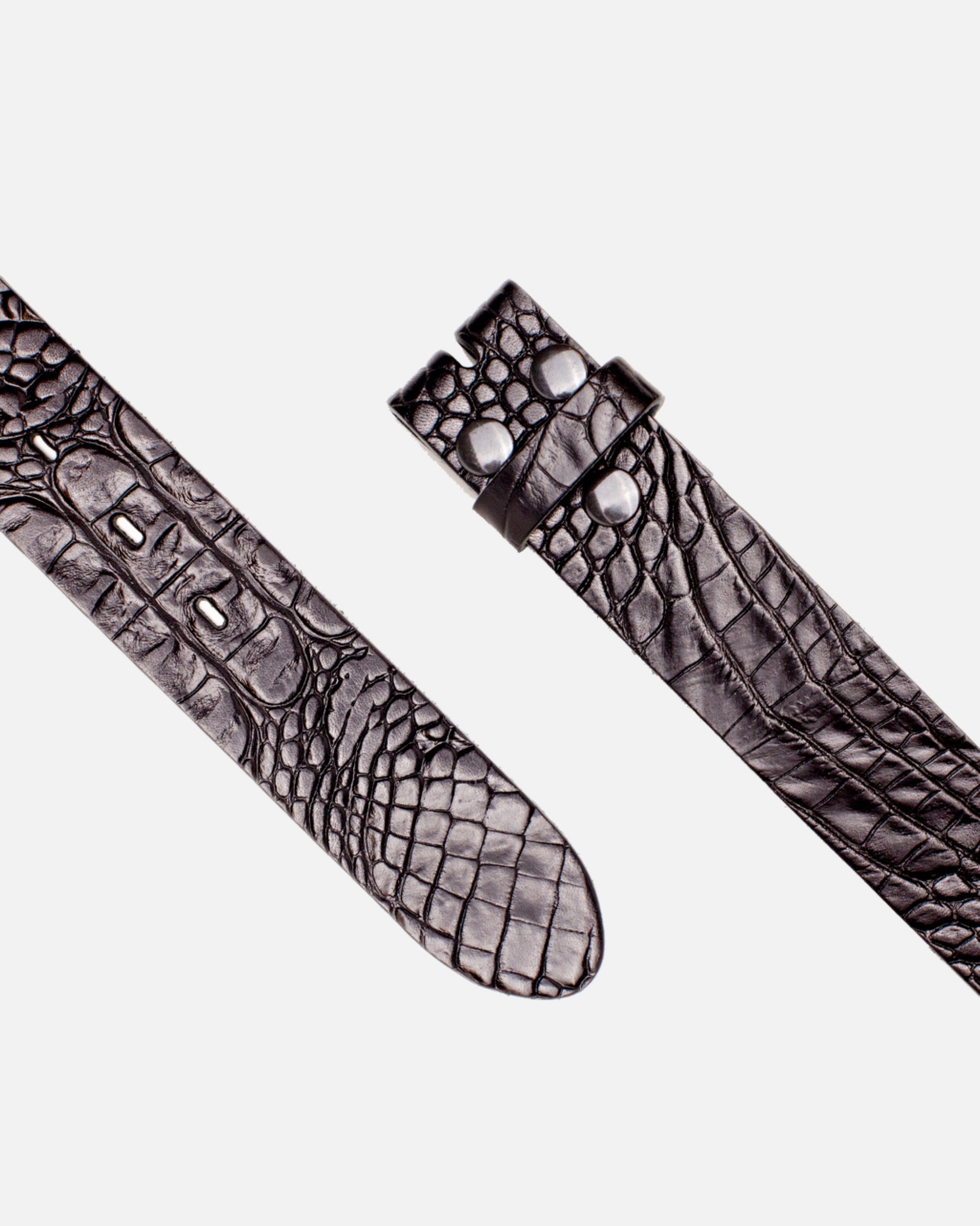 Black Crocodile